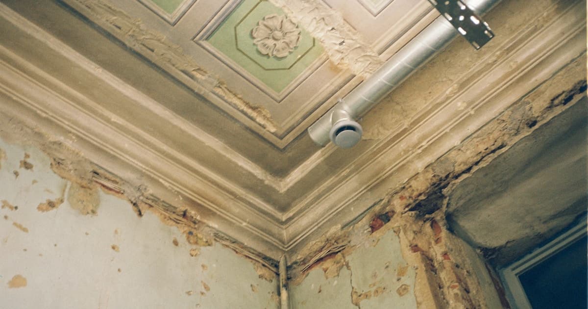 St Louis Mold Remediation Solutions