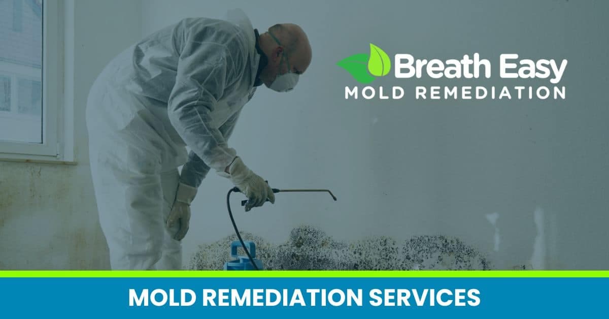Breathe Easy Mold Remediation