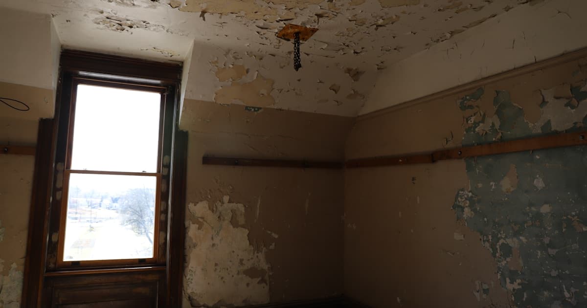 Mold Remediation Kansas City Solutions